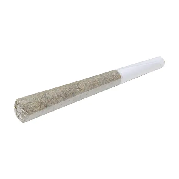 Lightspeed Live Rosin Infused Whole Flower Pre-Roll