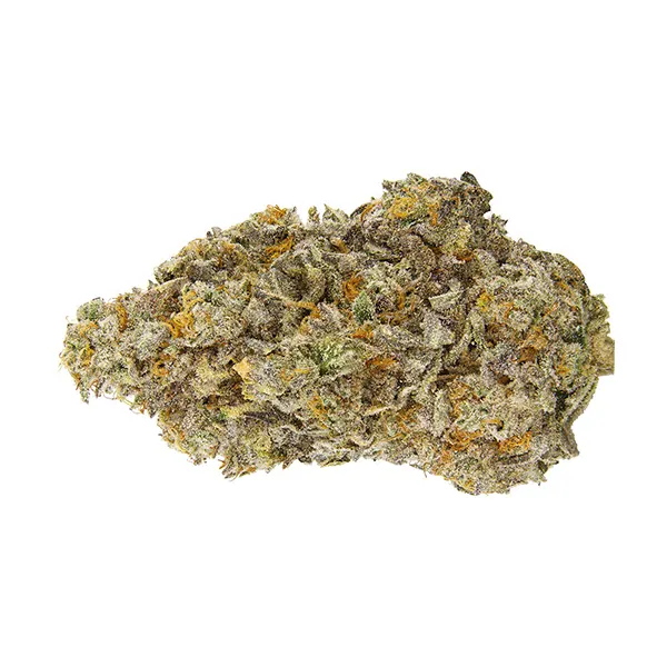 Bud image for Zestopia, cannabis dried flower by Uncommon Cannabis Co.