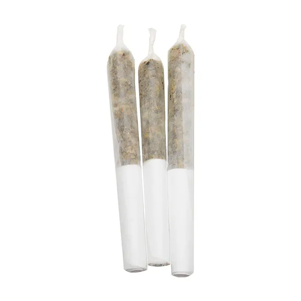 Image for Pineapple Coconut Escape Infused Pre-Roll, cannabis all products by Lamplighter