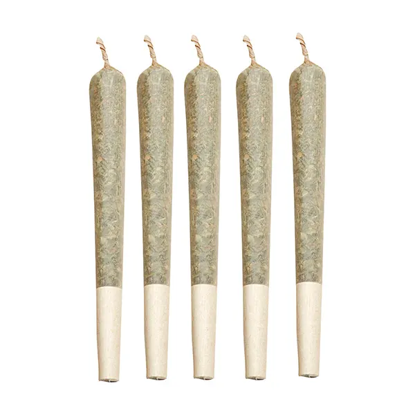 Image for Summer Cherry Punch Live Rosin Infused Pre-Roll, cannabis all products by Astrolab