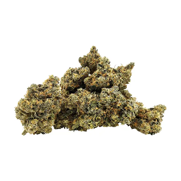 Product image for BC OZ Cannabis Flower by Joint Venture Craft Cannabis Inc.