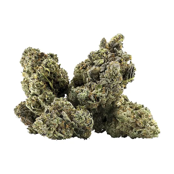 Product image for DEALR Cannabis Flower by Joint Venture Craft Cannabis Inc.