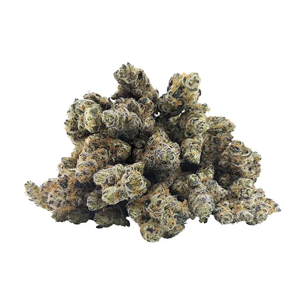 Product image for DEALR Cannabis Flower by Joint Venture Craft Cannabis Inc.