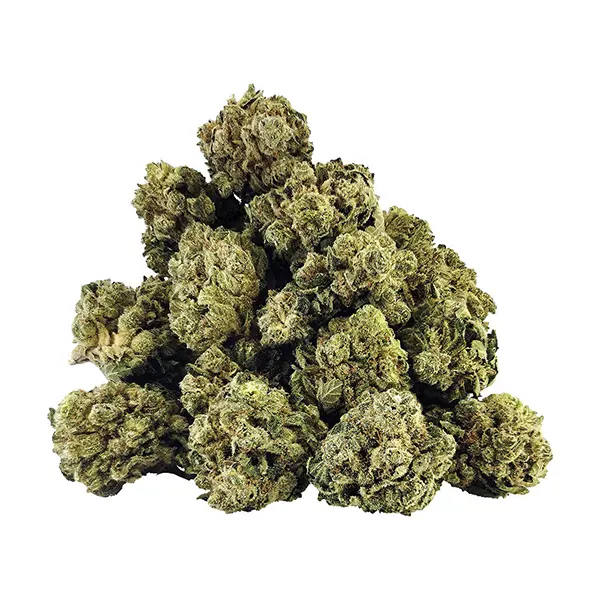 Product image for BC OZ Cannabis Flower by Joint Venture Craft Cannabis Inc.