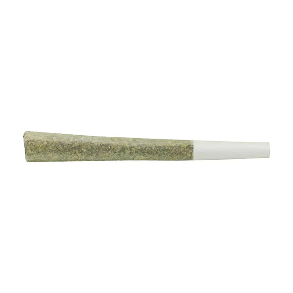 Indica Pre-Roll