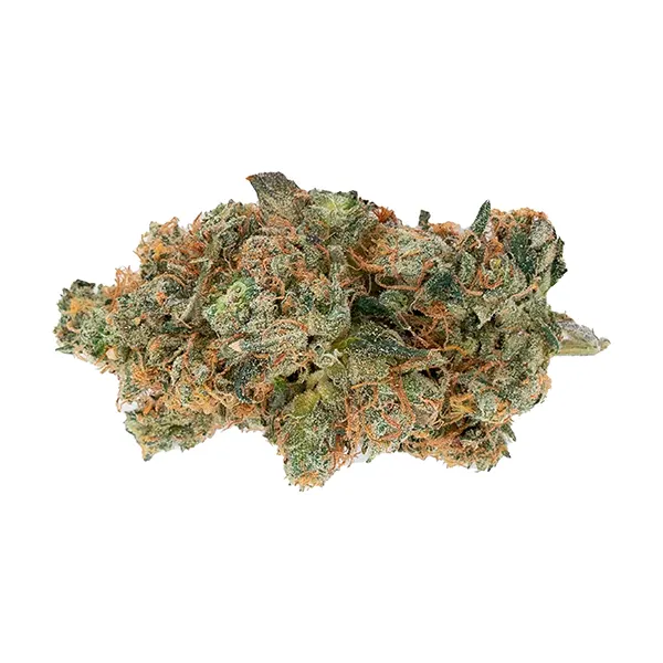 Bud image for Onion Ringz, cannabis dried flower by Muskoka Grown