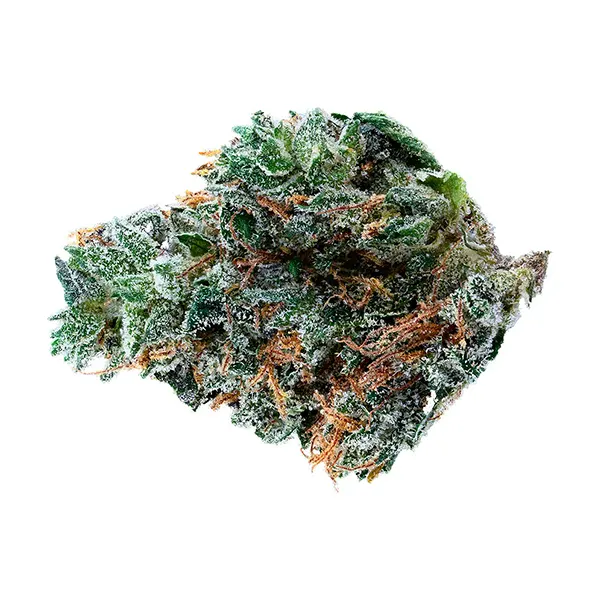 Product image for Tribal Cannabis Flower by Cannara Biotech Inc