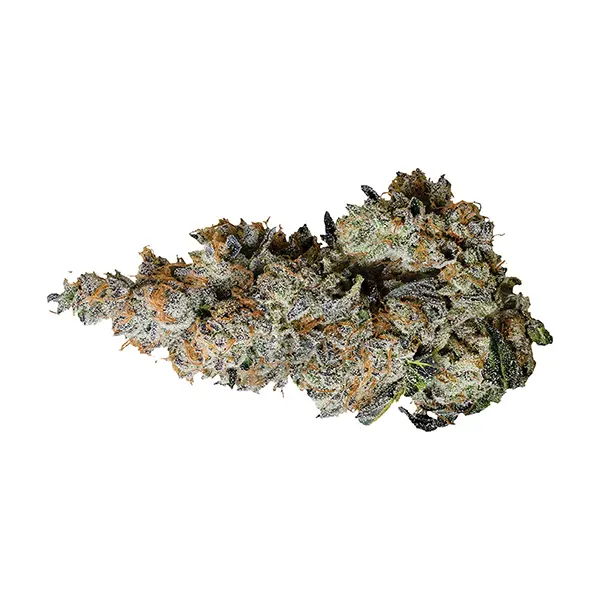 Bud image for Triple Burger, cannabis dried flower by Tribal