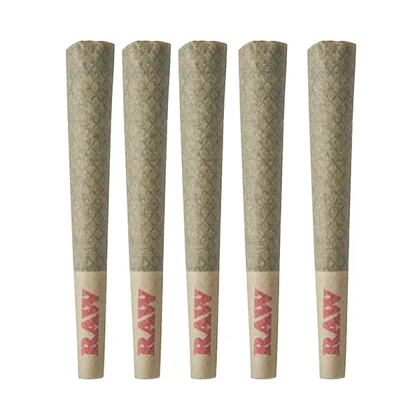 CBD Runtz Pre-Roll