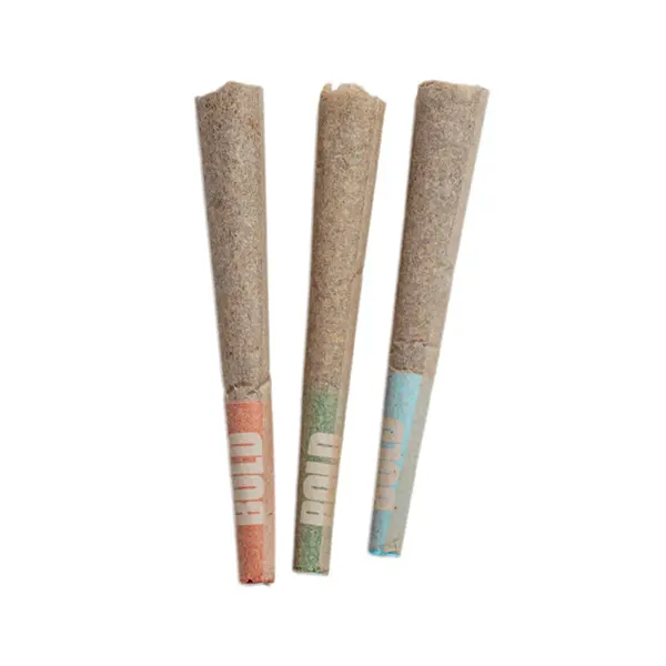 Craft Sampler Pre-Rolls