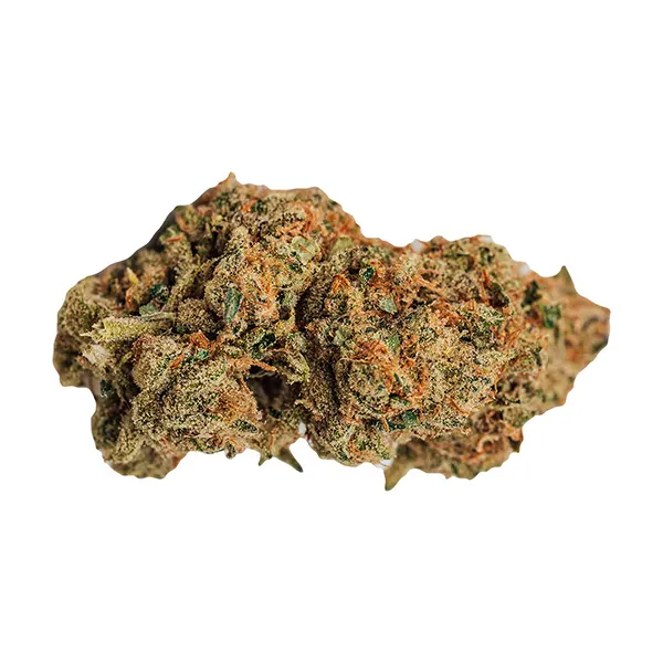 Product image for BOLD Cannabis Flower by Bold Growth Inc.