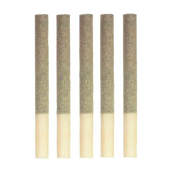 Image for Kings-Intense Pre-Roll, cannabis all products by Steel City Green