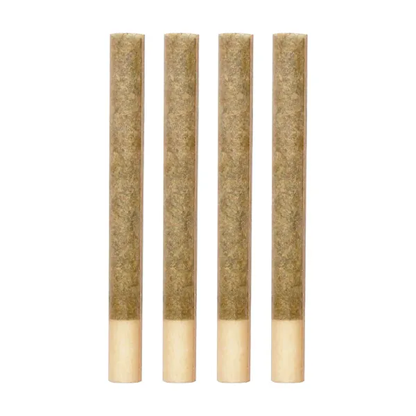 Kings+ Extreme Pre-Roll (Pre-Rolls) by Steel City Green