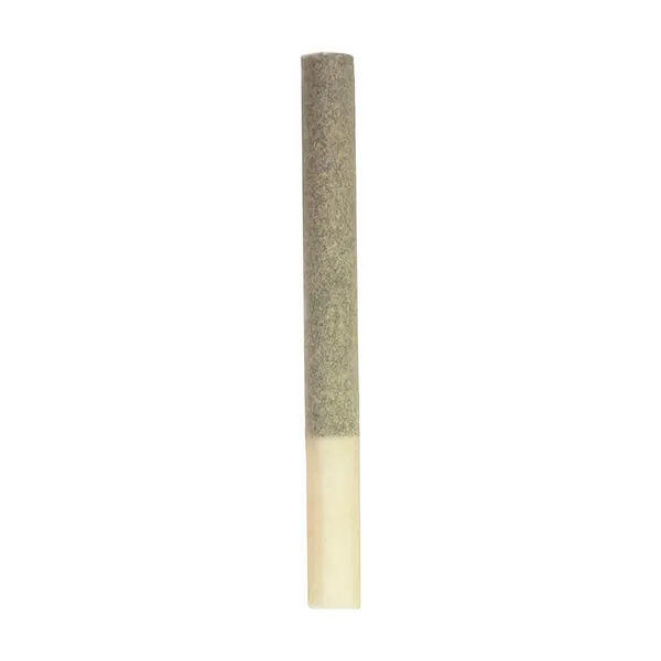 Image for Kings+ Extreme Single Pre-Roll, cannabis all products by Steel City Green