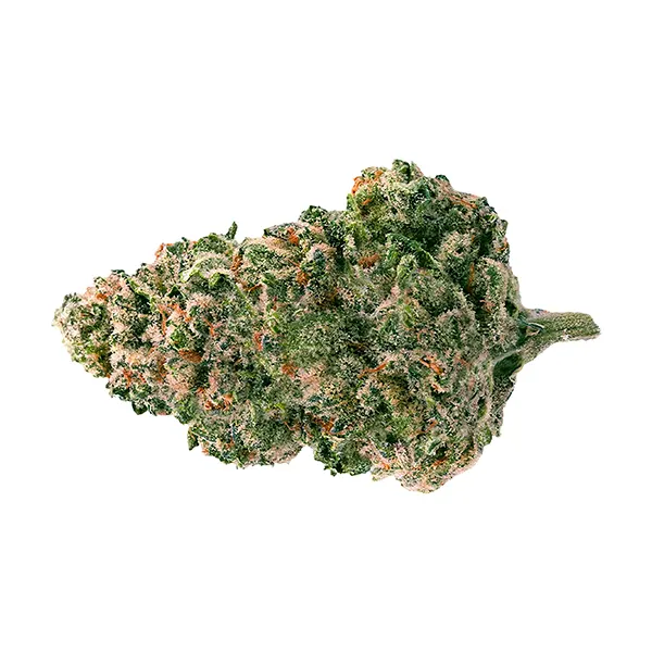 Product image for Back Forty Cannabis Flower by Auxly Cannabis Group Inc.