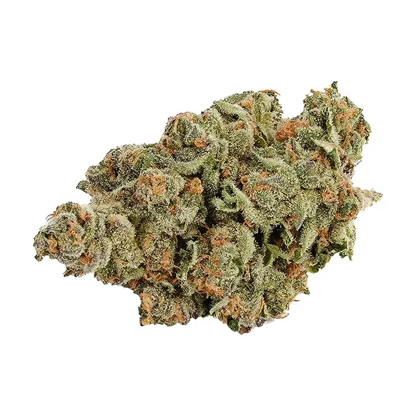 Product image for Island Time, Cannabis Flower by Cabana Cannabis Co.