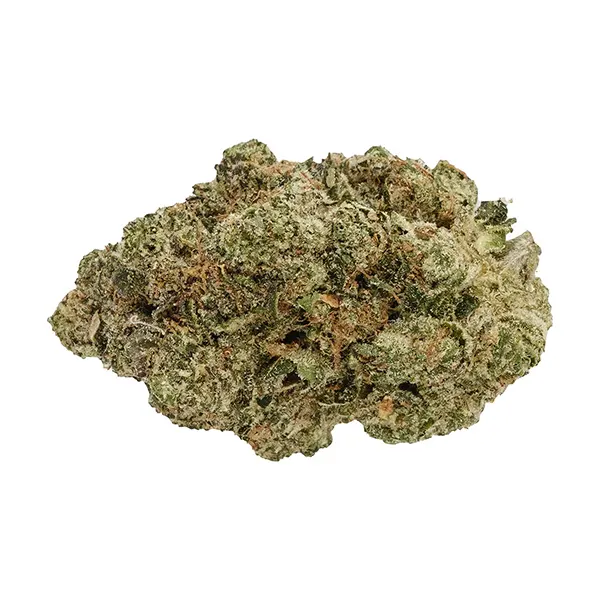 Product image for Back Forty Cannabis Flower by Auxly Cannabis Group Inc.