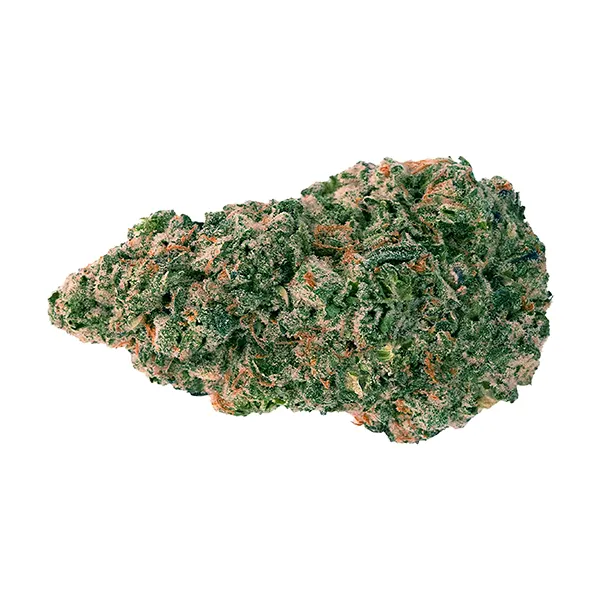 Bud image for Wedding Pie, cannabis dried flower by Back Forty