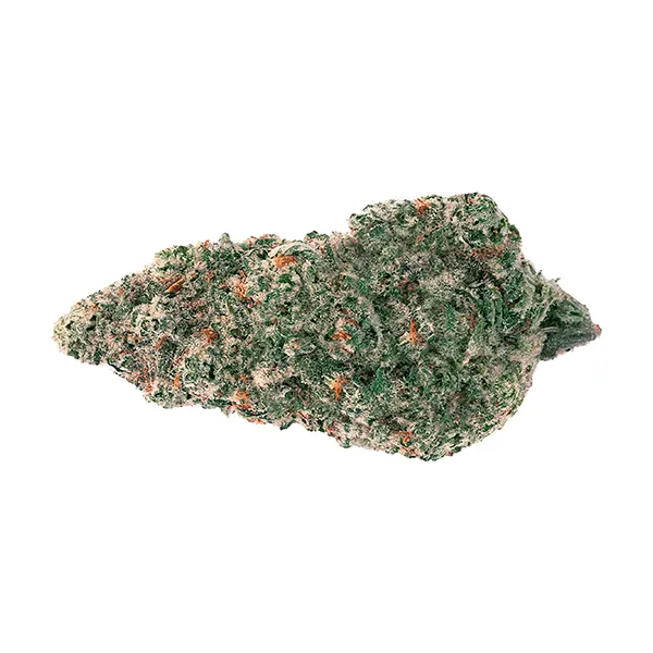 Bud image for Mandarin Cookies, cannabis all products by Back Forty