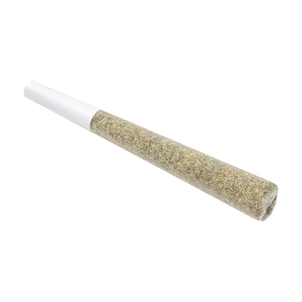 Pineapple God Pre-Roll