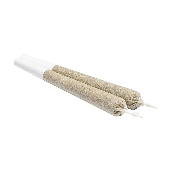 Hoagies Sativa Pre-Roll