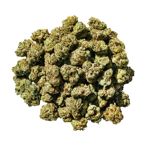 Bud image for Smol Buds (indica), cannabis dried flower by Super Toast