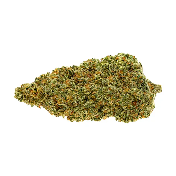 Bud image for Gold Face, cannabis all products by Pure Sunfarms