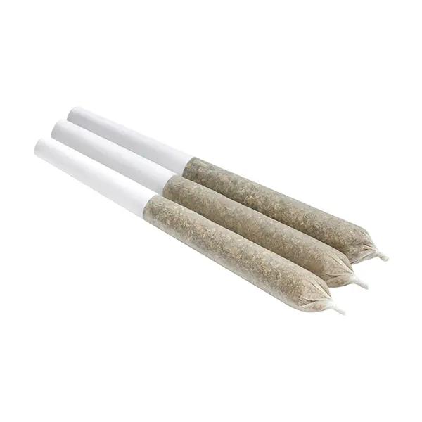 Biscotti Squeeze Pre-Roll