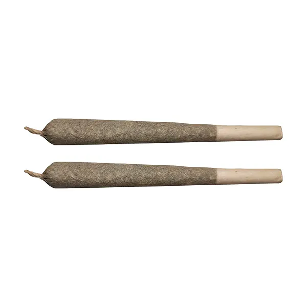 Craft Reserve Pre-Roll