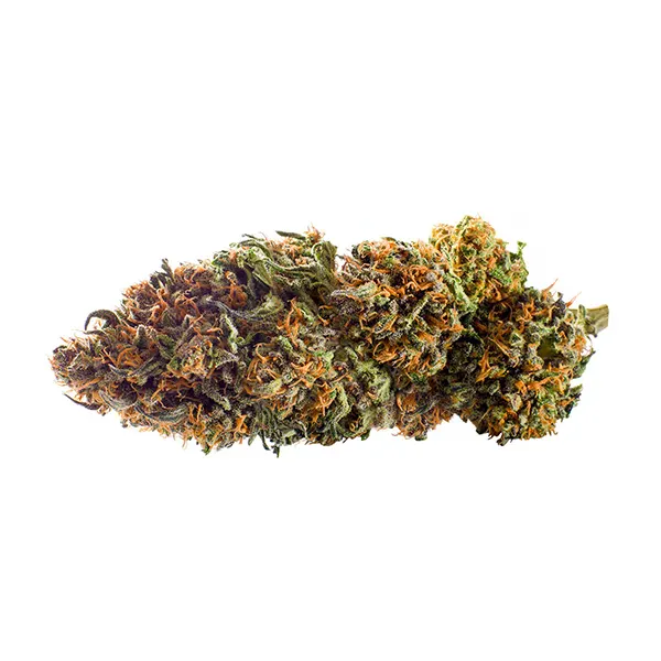 Bud image for Wappa, cannabis dried flower by Redecan