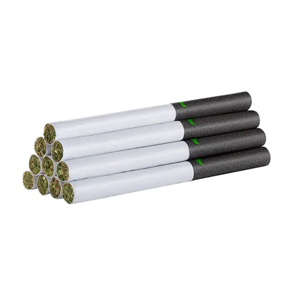 Redees Terps Citrus Fuel Pre-Roll