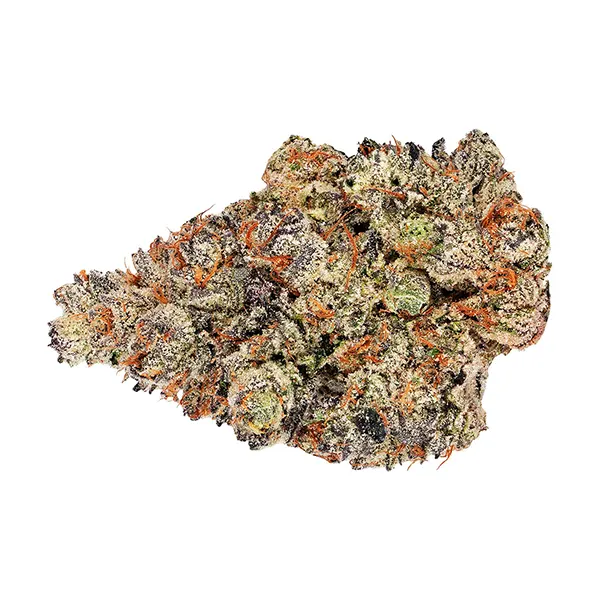 Bud image for Holy Grail Kush, cannabis all products by Broken Coast