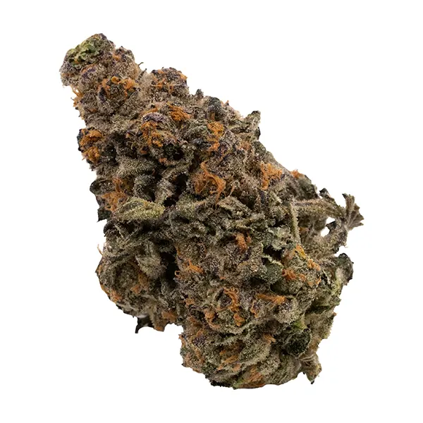 Bud image for Cosmic Sherb, cannabis all products by FIGR