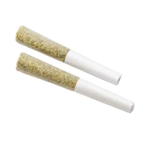 Mango Haze Pre-Roll