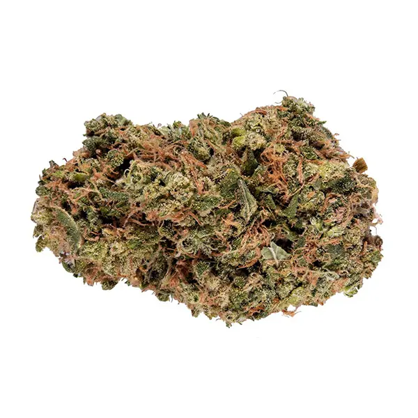 Bud image for Space Cake, cannabis dried flower by Color Cannabis