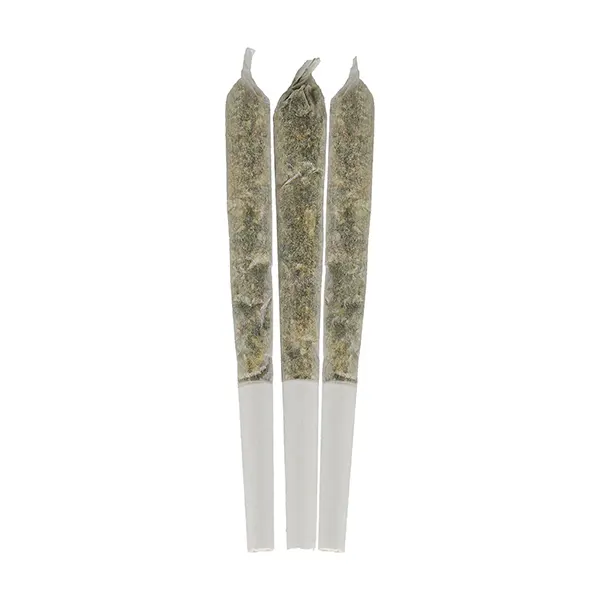 Image for Saturday Night Mango Diesel Infused Pre-Roll, cannabis all products by Saturday