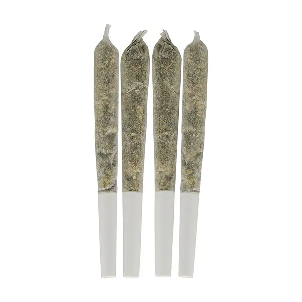 Product image for Dime Bag Cannabis Flower by Entourage Health Corp