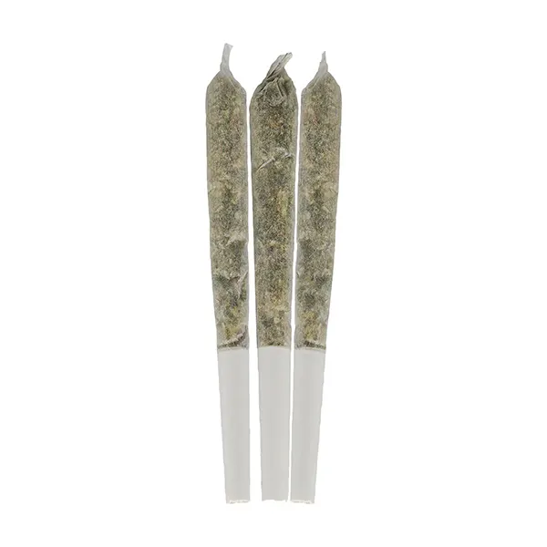 Image for Pedro's Sweet Sativa Live Resin Infused Pre-Roll, cannabis all products by Color Cannabis