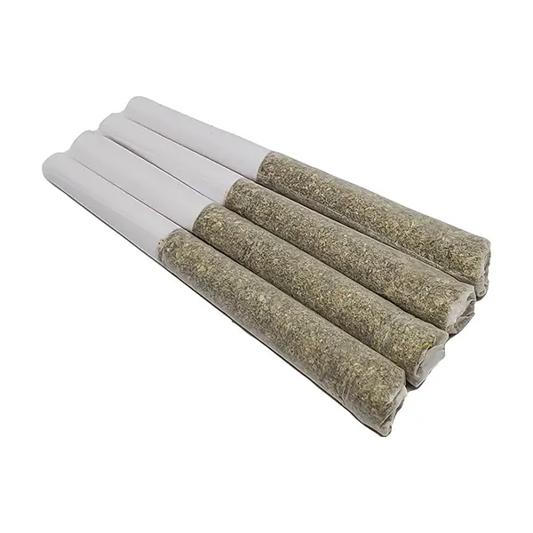 Funky Pocket Puffs Pre-Roll