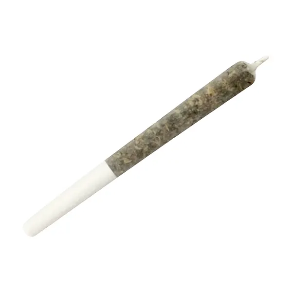 Product image for Wildcat Serum Pocket Rockets Infused Pre-Roll, Cannabis Flower by Dime Bag