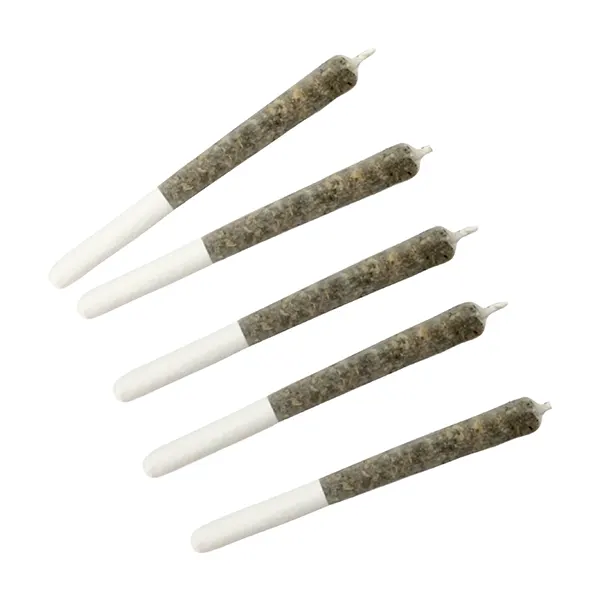 Wildcat Serum Pocket Rockets Infused Pre-Roll (Pre-Rolls) by Dime Bag