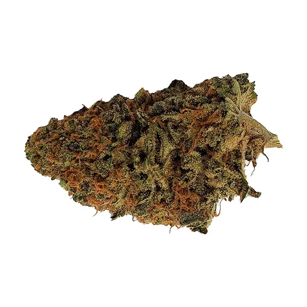 Kush Dreams (Dried Flower) by Dime Bag