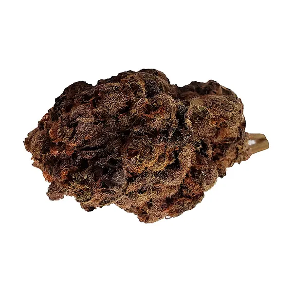 Product image for Purple Poison, Cannabis Flower by Dime Bag