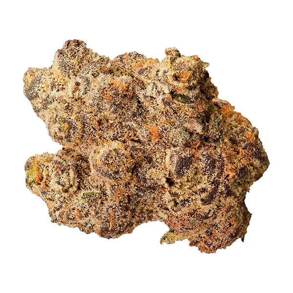 Product image for Qwest Cannabis Flower by Decibel Cannabis Company