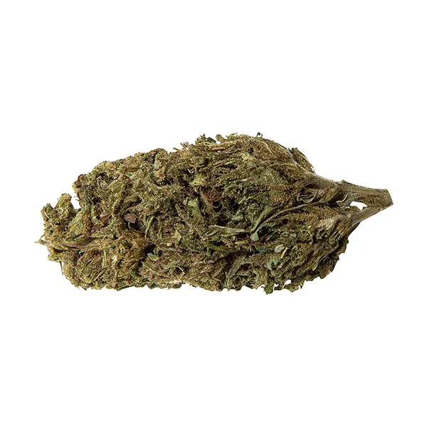 Bud image for Lemon Sapphire, cannabis all products by Abide