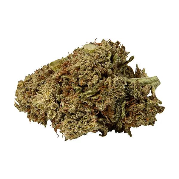 Bud image for Premium CBG Flower, cannabis all products by WholeHemp