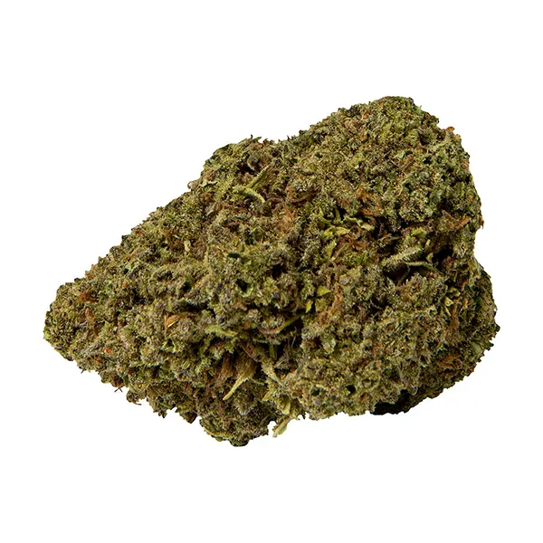 Bud image for Mango Sapphire Haze, cannabis all products by Abide