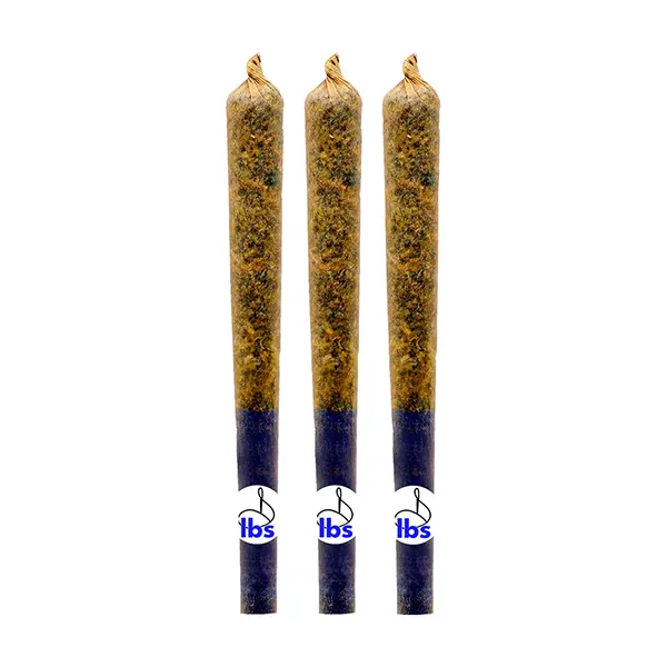 What the Fuzz Infused Pre-Roll