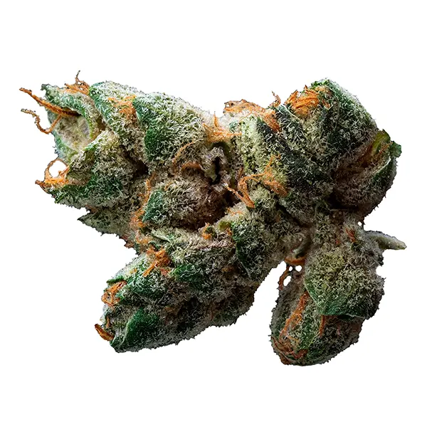 Bud image for Sugar Cookies, cannabis all products by Muskoka Grown