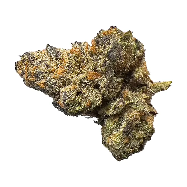 Bud image for Secret Stash, cannabis dried flower by Hot Box